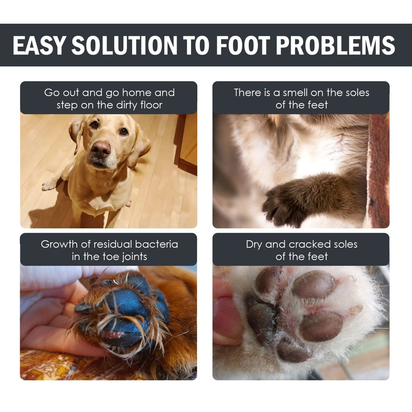 Premium Paw Cleaning Kit